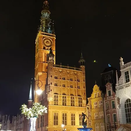 Mieszkanie Plaza 아파트 *